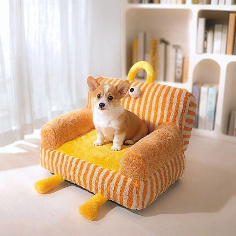 chiot corgi assis sur canape lit chien orange bibounet