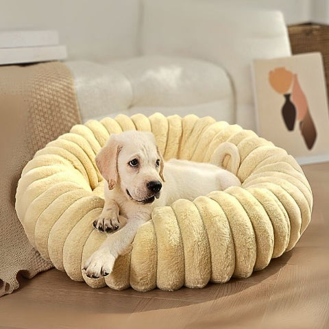 chiot couché dans lit pour chien beige spirou