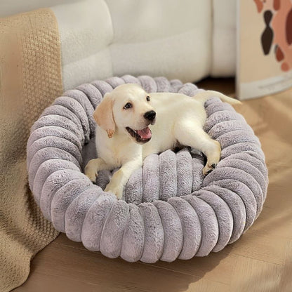 chiot couché dans lit pour chien gris spirou