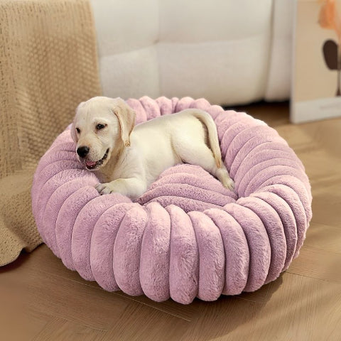 chiot couché dans lit pour chien violet spirou