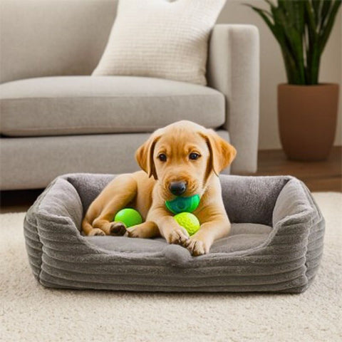chiot labrador couché dans lit pour chien gris toudou