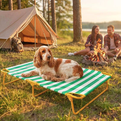 cocker couché sur lit de camp pour chien vert solel