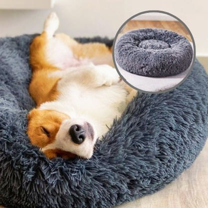 corgi allongé dans panier chien gris foncé rond