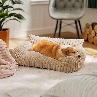 corgi allongé sur canape chien beige moumoute