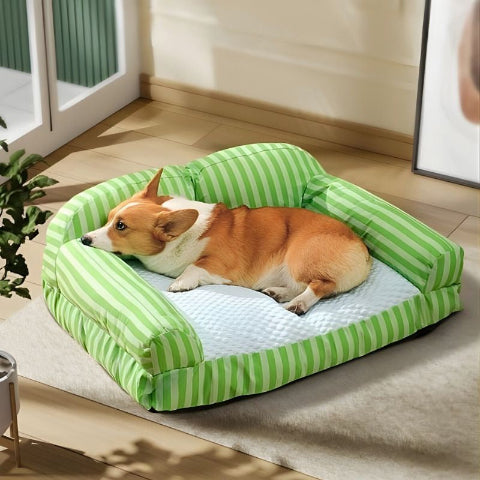 corgi allongé sur canape pour chien moelleux pastek