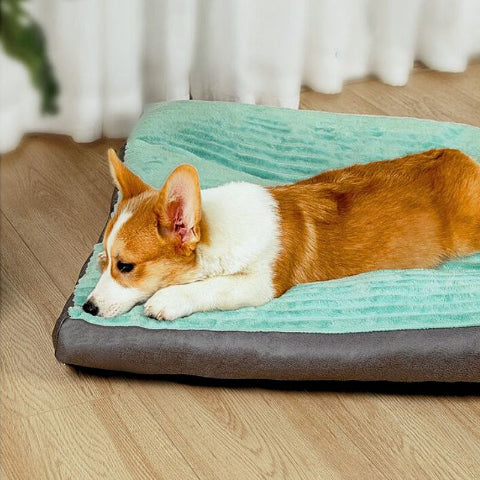 corgi allongé sur coussin chien antidérapant housse amovible