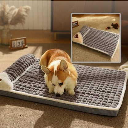 corgi allongé sur coussin chien gris protège cervicale