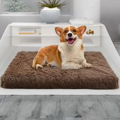 corgi allongé sur coussin chien marron orthopédique
