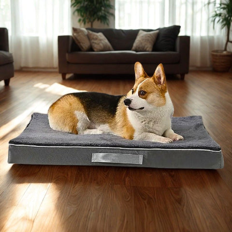 corgi allongé sur coussin déhoussable chien gris biscot