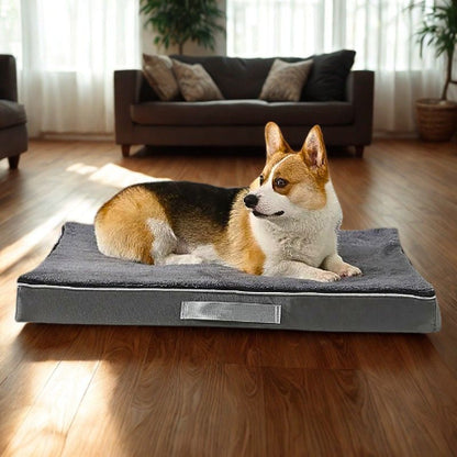 corgi allongé sur coussin déhoussable chien gris biscot