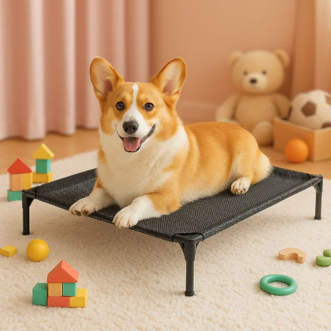 corgi allongé sur lit de camp chien noir orthoflex