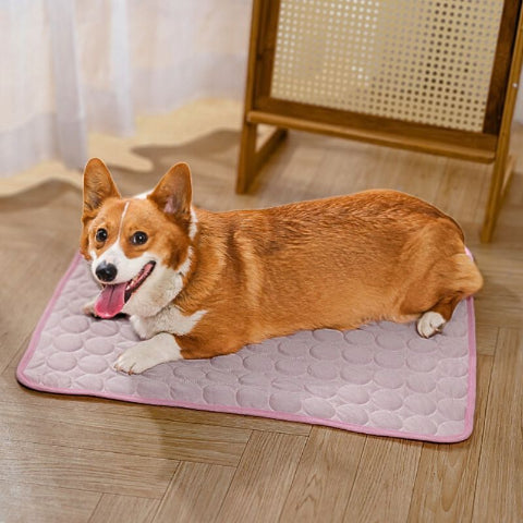 corgi allongé sur tapis rafraichissant chien rose respirant