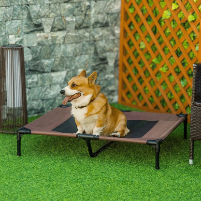 corgi assis sur lit de camp chien marron bondaflex