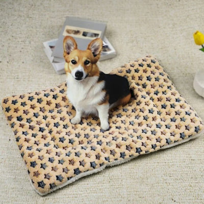 corgi assis sur tapis chien jaune avec étoiles flanelle respirante