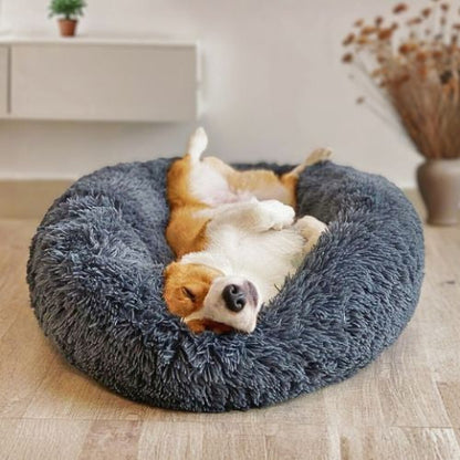 corgi couché dans panier chien gris foncé rond