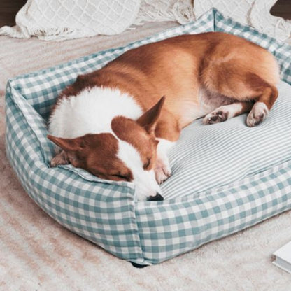 corgi couché dans panier chien moelleux cocooning