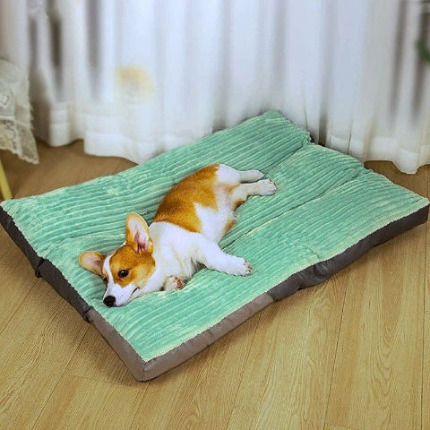corgi couché sur coussin chien douillet housse amovible
