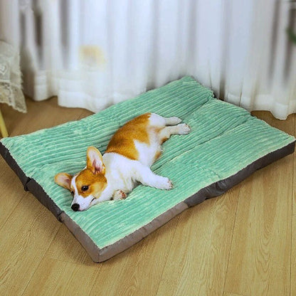 corgi couché sur coussin chien douillet housse amovible