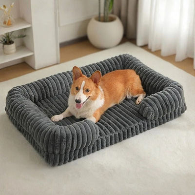 corgi couché sur lit canapé pour chien gris doucinou
