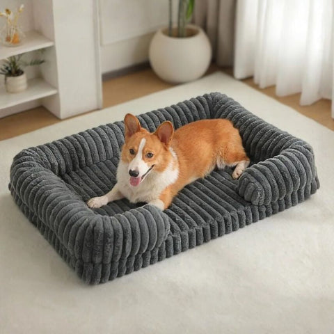 corgi couché sur lit canapé pour chien gris doucinou