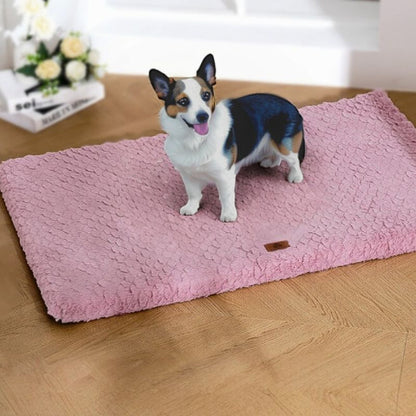 corgi debout sur coussin pour chien  rose déhoussable