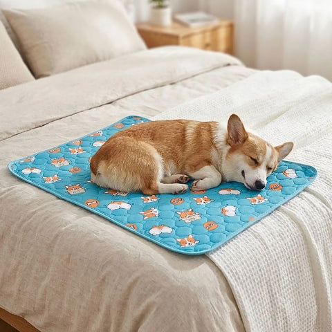 corgi endormi sur tapis chien absorbant anti-fuite