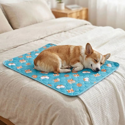 corgi endormi sur tapis chien absorbant anti-fuite