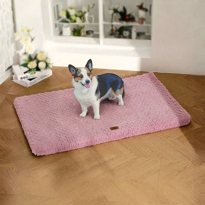 corgi foncé debout sur coussin pour chien rose déhoussable