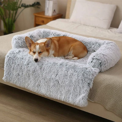 corgi sur canapé lit pour chien gris clair nidou