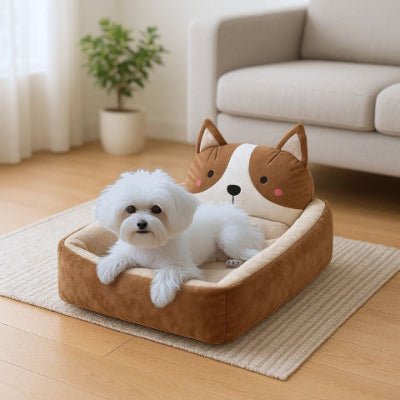 Bichon maltais dans un couchage chien Choupinou marron avec design élégant