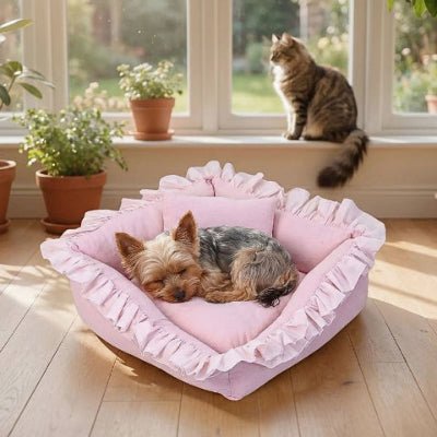 Yorkshire terrier dans un couchage chien Froufrou rose avec oreiller d'appoint
