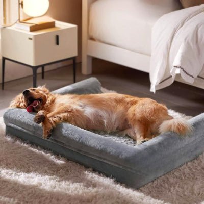 Golden retriever sur coussin chien déhoussable Anglar gris avec rebord coussiné