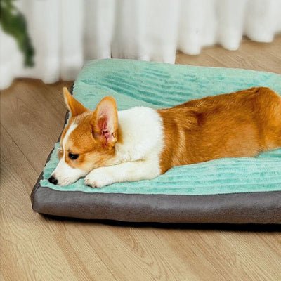 corgi allongé sur coussin chien veluria vert base antidérapante et imperméable