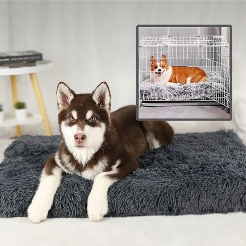 coussin-chien-husky-mousse-memoire-orthopedique