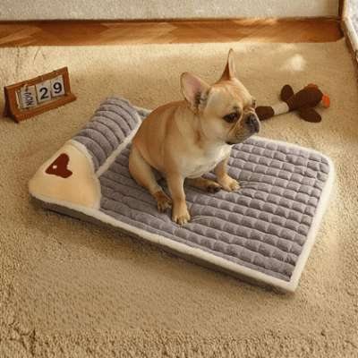 bouledogue français assis sur coussin chien cervino gris avec base antidérapante