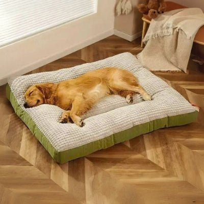 Golden retriever couché sur coussin chien XXL Akal vert déhoussable et lavable