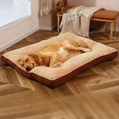 Golden retriever couché sur un coussin chien XXL Akal marron avec design élégant