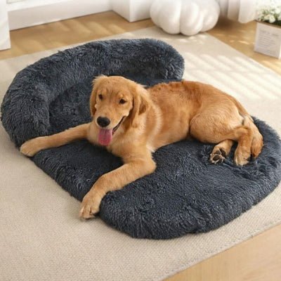 golden retriever allongé sur un coussin chien xxl noir avec mousse alvéolée