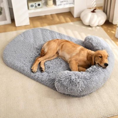 golden retriever couché sur coussin chien xxl gris clair déhoussable et lavable
