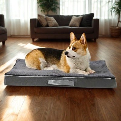 Corgi sur un coussin déhoussable chien Biscot gris transportable avec poignée