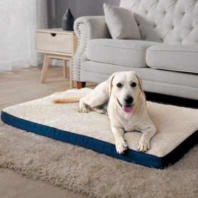 Labrador allongé sur un coussin déhoussable chien Biscot blanc en tissu oxford