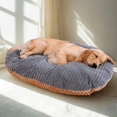 Golden allongé sur un coussin déhoussable chien Reversol gris garni de coton pp