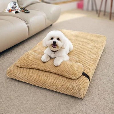 Bichon maltais sur un coussin déhoussable pour chien Ducou jaune orthopédique