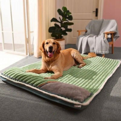 golden retriever couché sur coussin déhoussable pour chien velourex vert