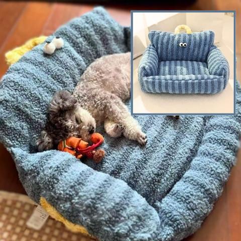 un caniche toy allonge sur son coussin raye bleu dors pasiblement dans le coin superieur droit nous voyons la photo de son coussin seul dans un cadre carre