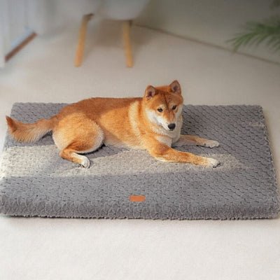 shiba inu allongé sur coussin pour chien gris foncé déhoussable