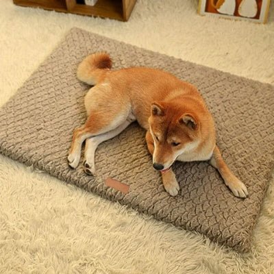 shiba inu allongé sur un coussin pour chien daiminos marron avec mousse alvéolée