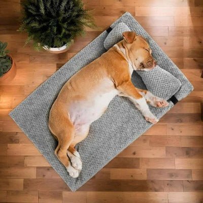 Pitbull sur un coussin pour chien déhoussable Confo gris clair orthopédique