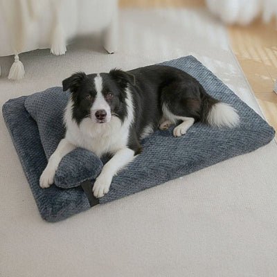 Border collie sur un coussin pour chien déhoussable Confo gris foncé hydrofuge