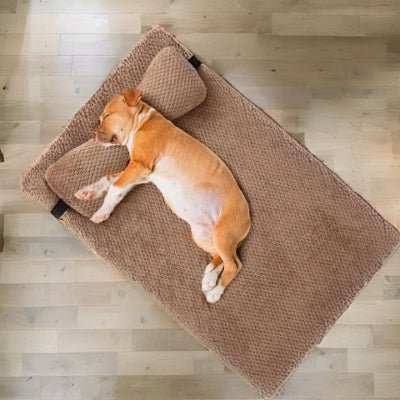 Pitbull endormi sur un coussin pour chien déhoussable Confo marron antidérapant